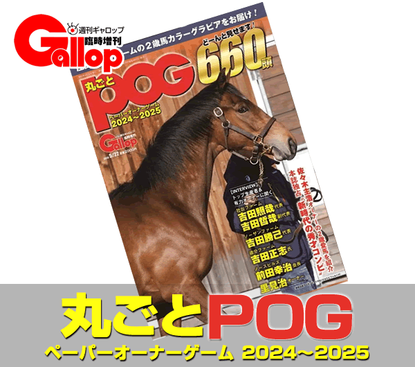 丸ごとPOG2024～25